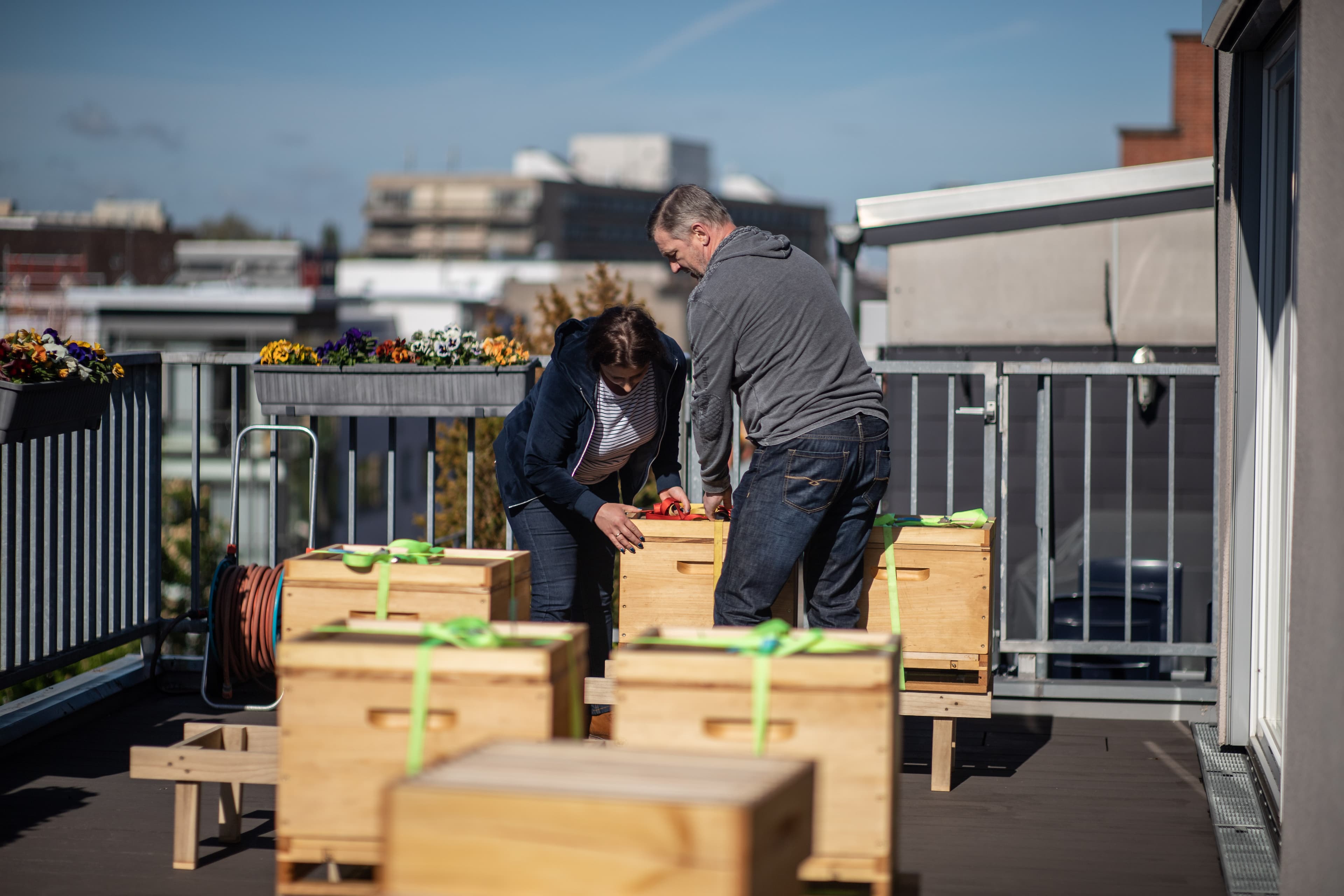 3_2019_05_13_Bienenfotos-13.jpg