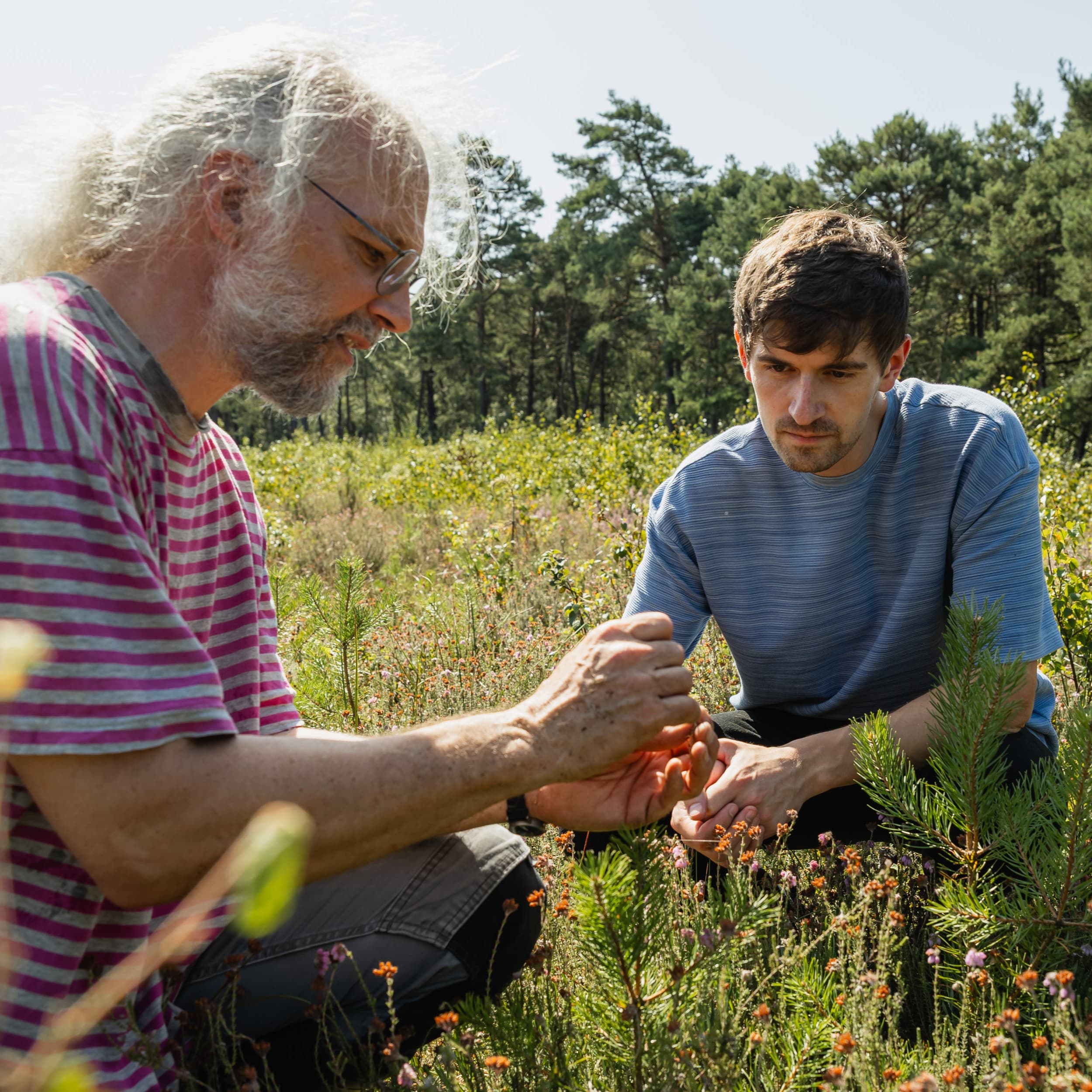 2025_08_Bergwald Projekt Moor-32.jpg