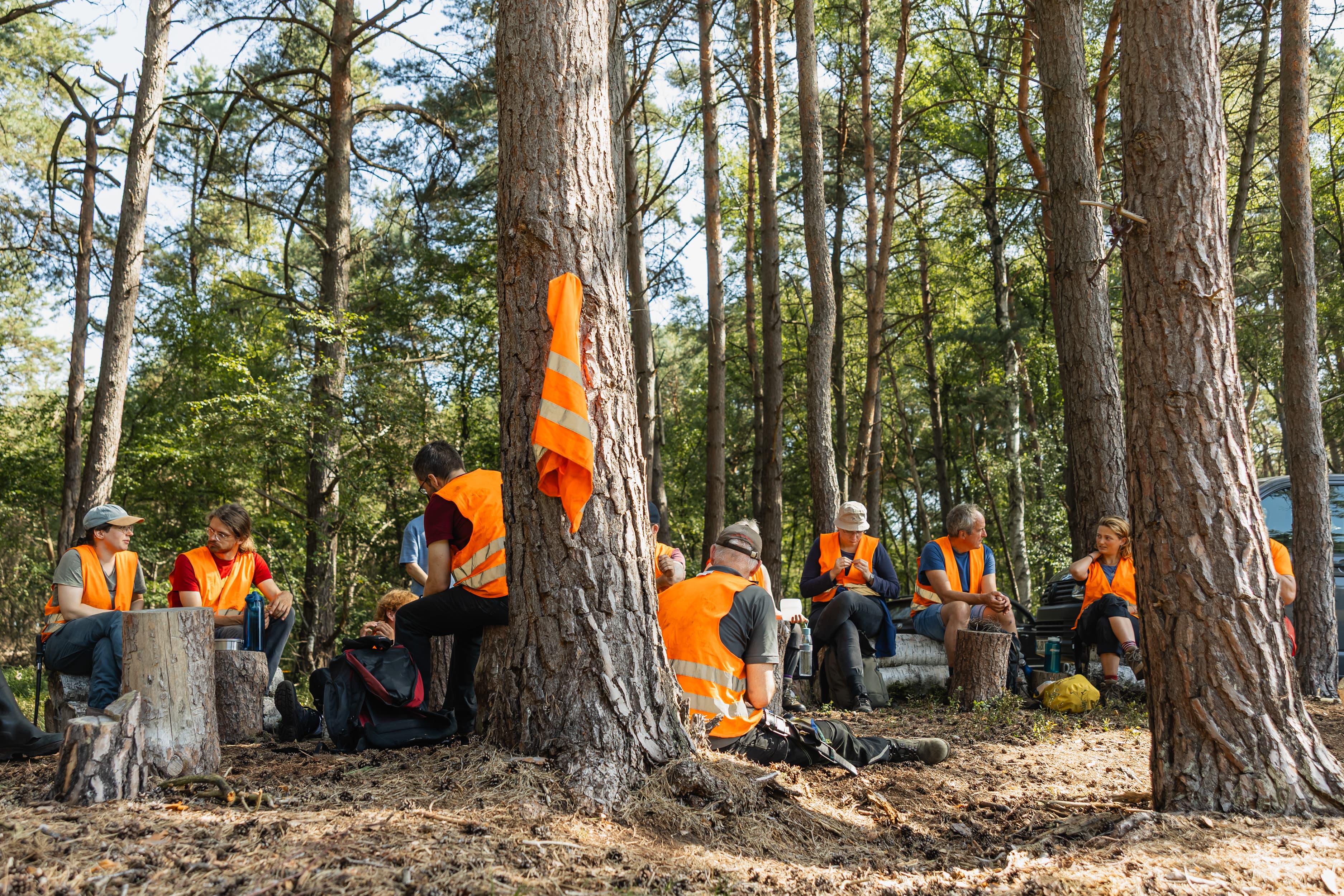 2025_08_Bergwald Projekt Moor-1.jpg