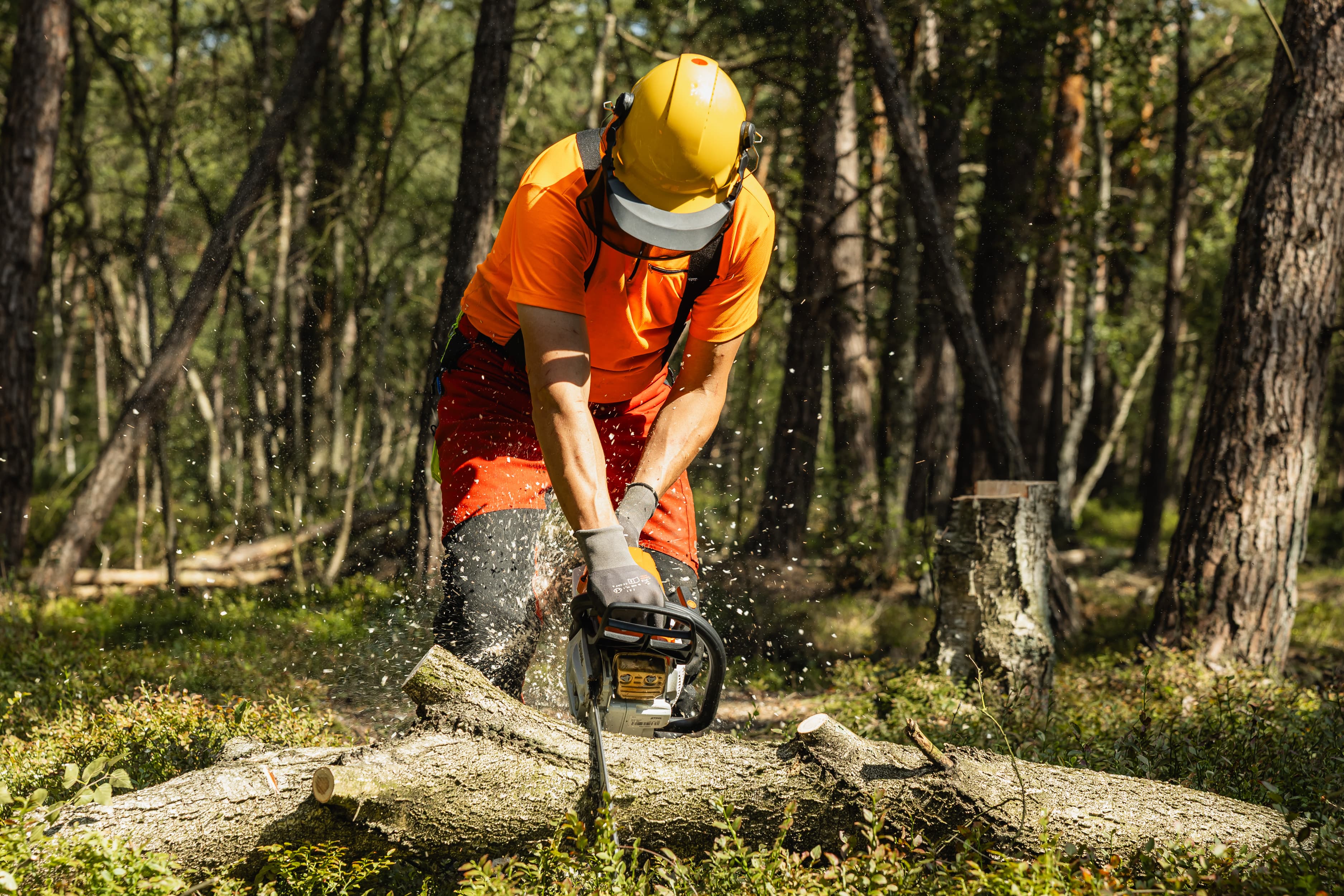 2025_08_Bergwald Projekt Moor-17.jpg