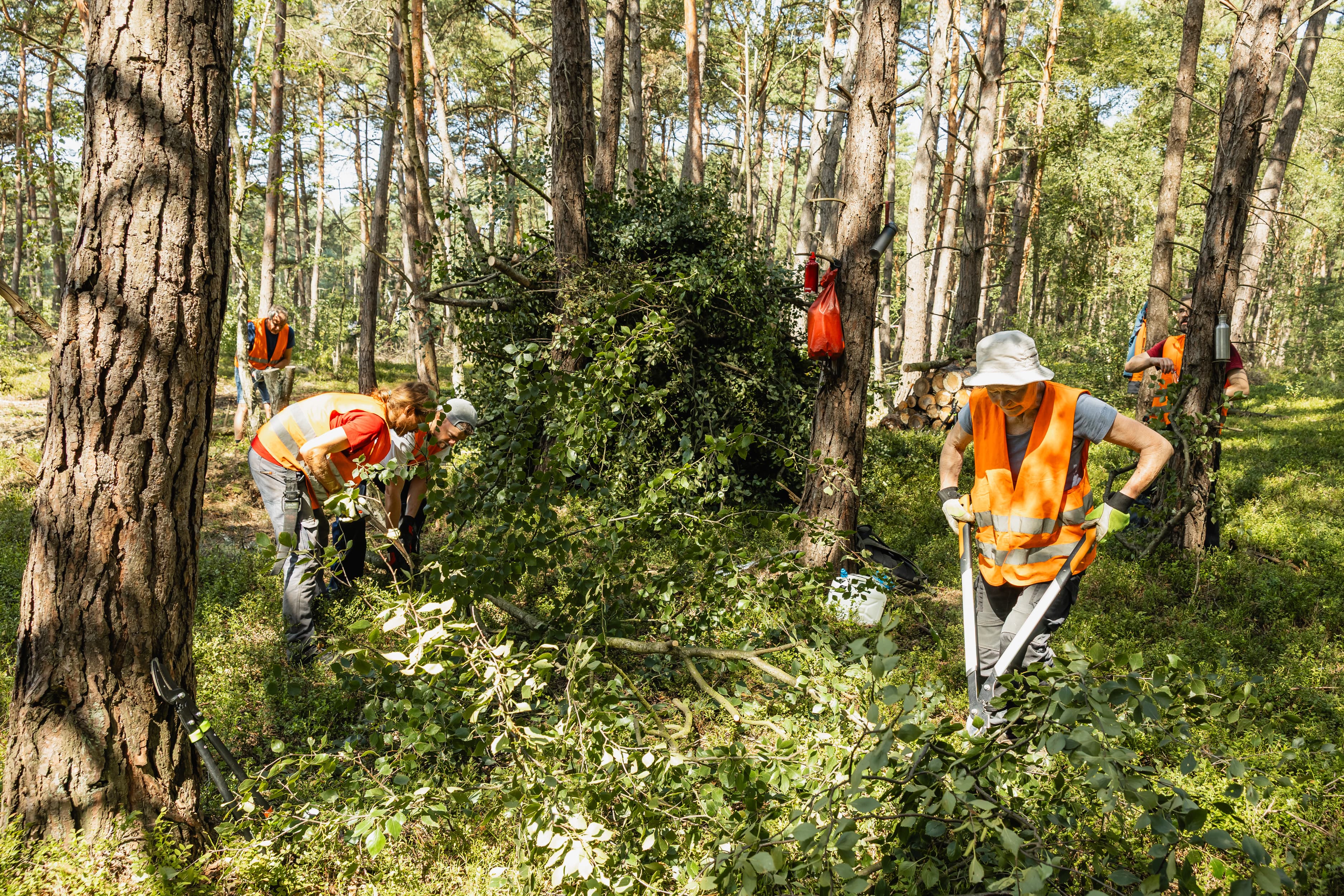 2025_08_Bergwald Projekt Moor-39.jpg