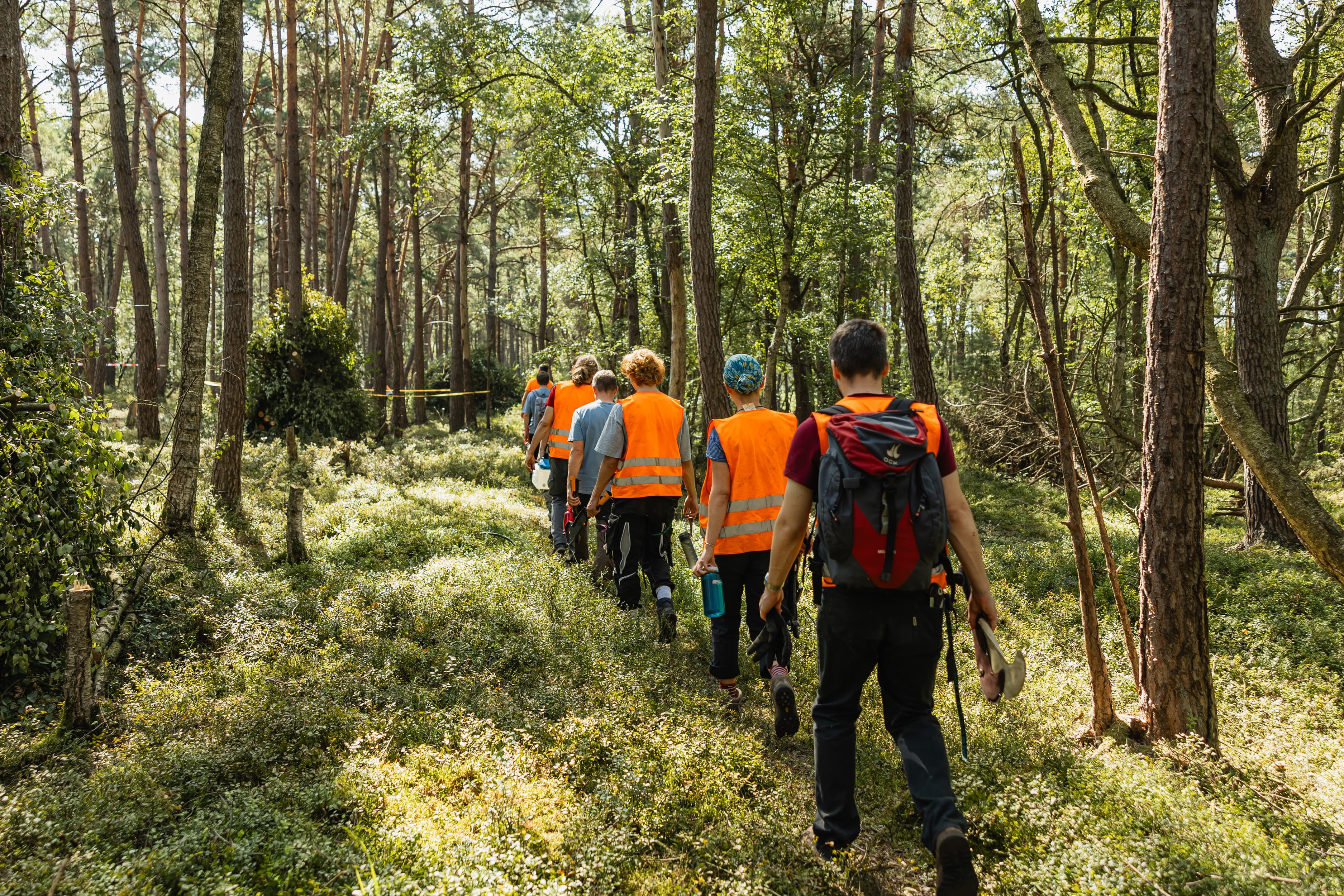 2025_08_Bergwald Projekt Moor-8.jpg